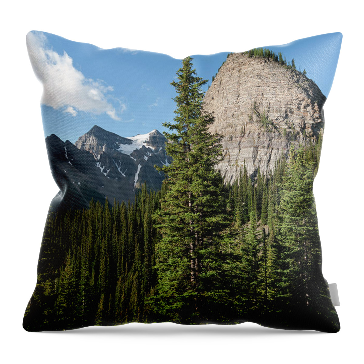 Scenics Throw Pillow featuring the photograph Big Beehive #1 by John Elk Iii