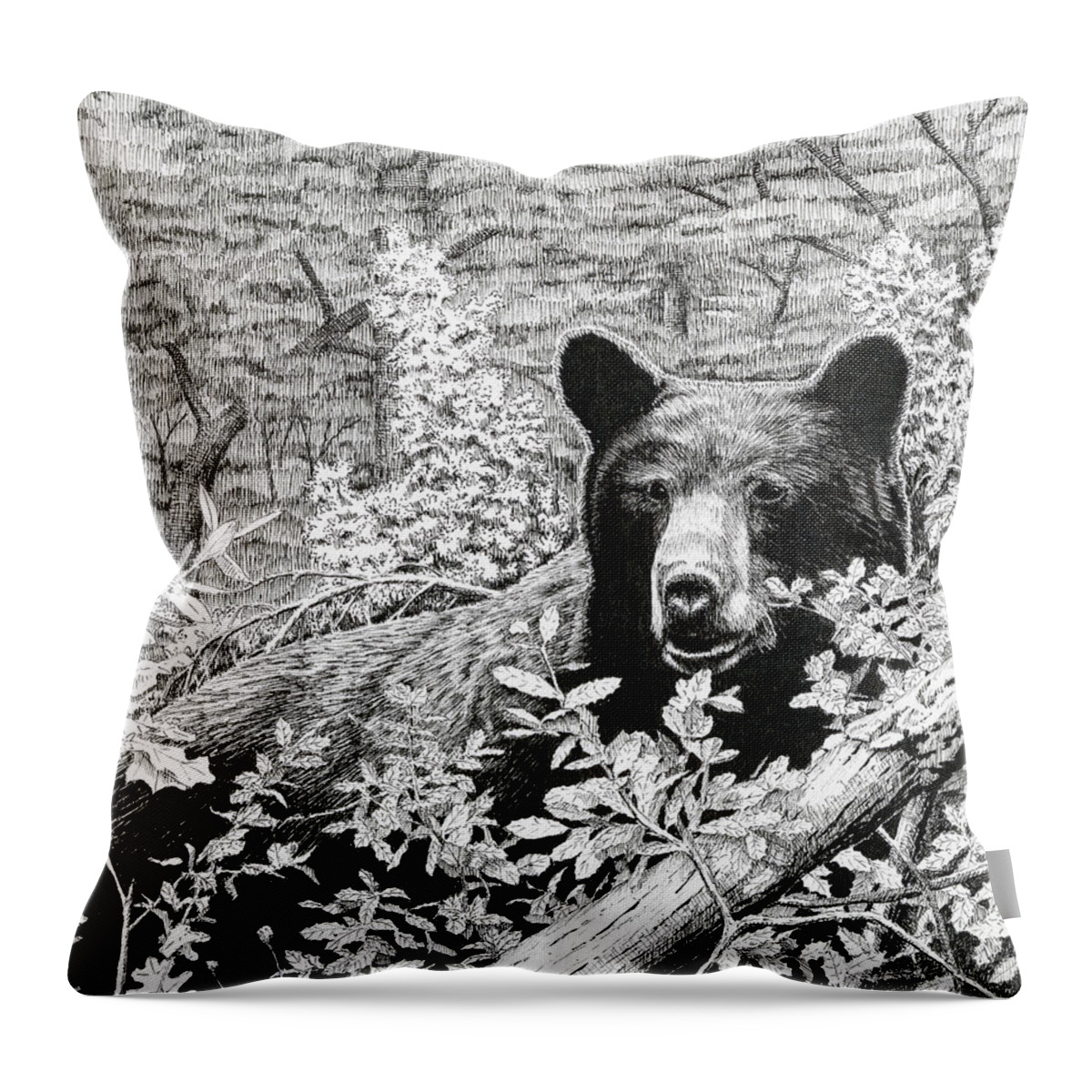 Bear Throw Pillow featuring the drawing Black Bear Boar #1 by Timothy Livingston