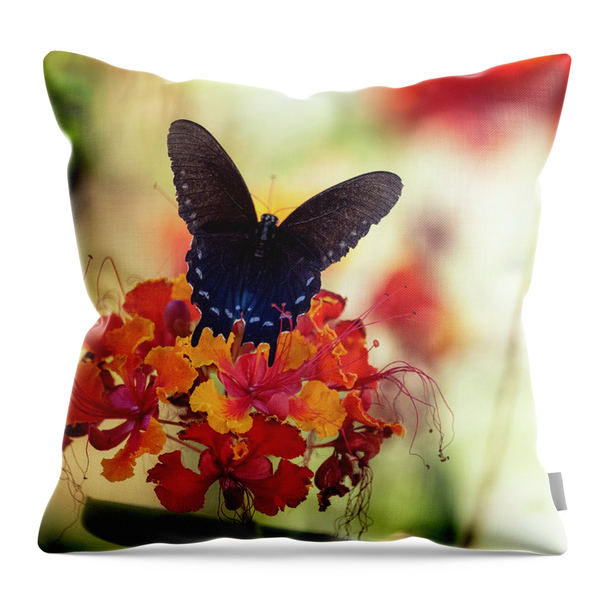 Blue Swallowtail Butterfly Throw Pillow featuring the photograph Blue Swallowtail #1 by Saija Lehtonen