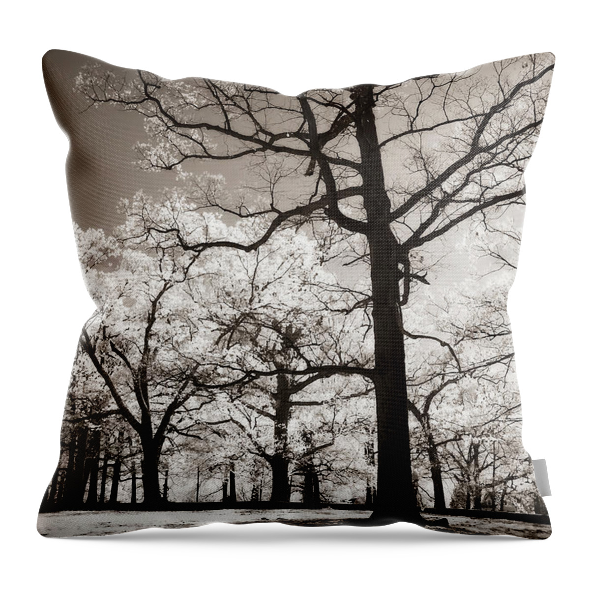 Photo Throw Pillow featuring the photograph Bright Spring Day -2 #2 by Alan Hausenflock