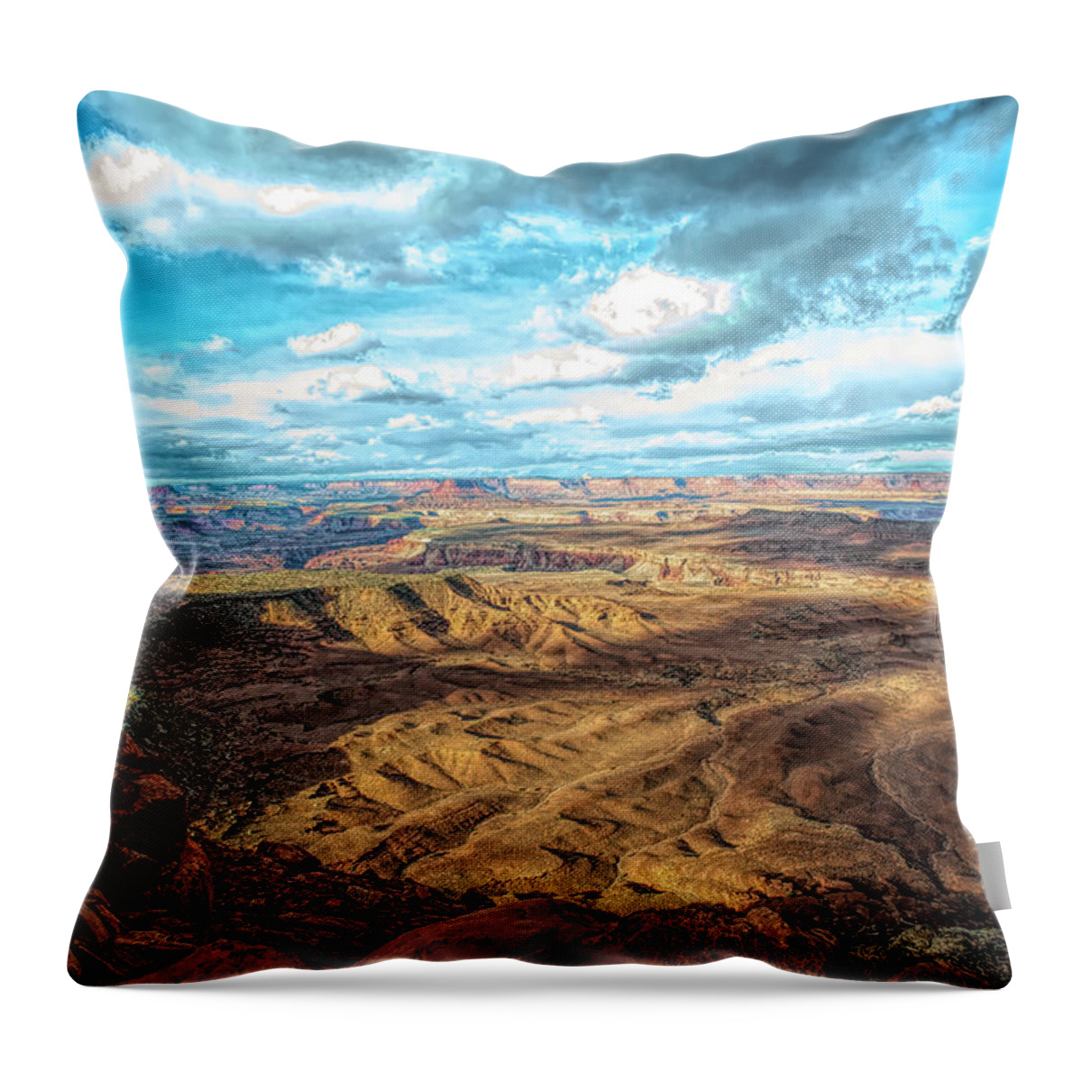 Canyonlands Throw Pillow featuring the photograph Canyonlands #1 by Wade Aiken