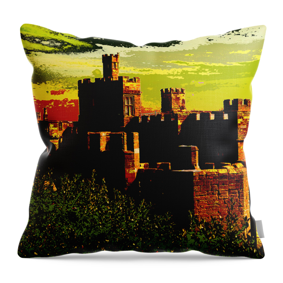  Throw Pillow featuring the digital art 0019 by Adrian Maggio