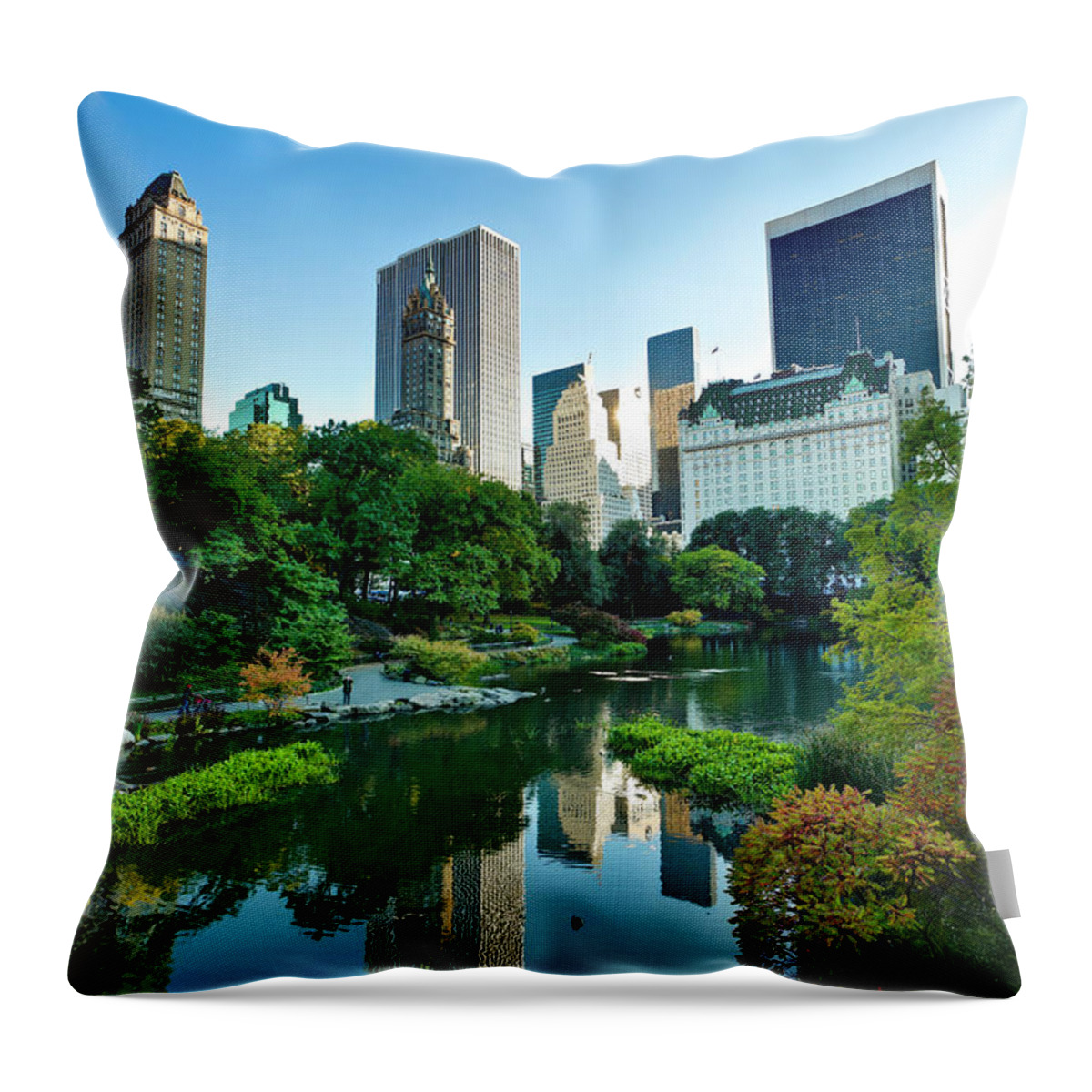 Downtown District Throw Pillow featuring the photograph Central Park In New York City #1 by Pawel.gaul