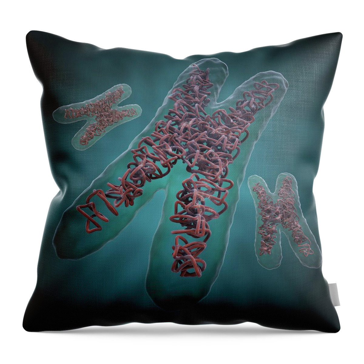 Physiology Throw Pillow featuring the digital art Chromosomes, Artwork #1 by Science Photo Library - Andrzej Wojcicki