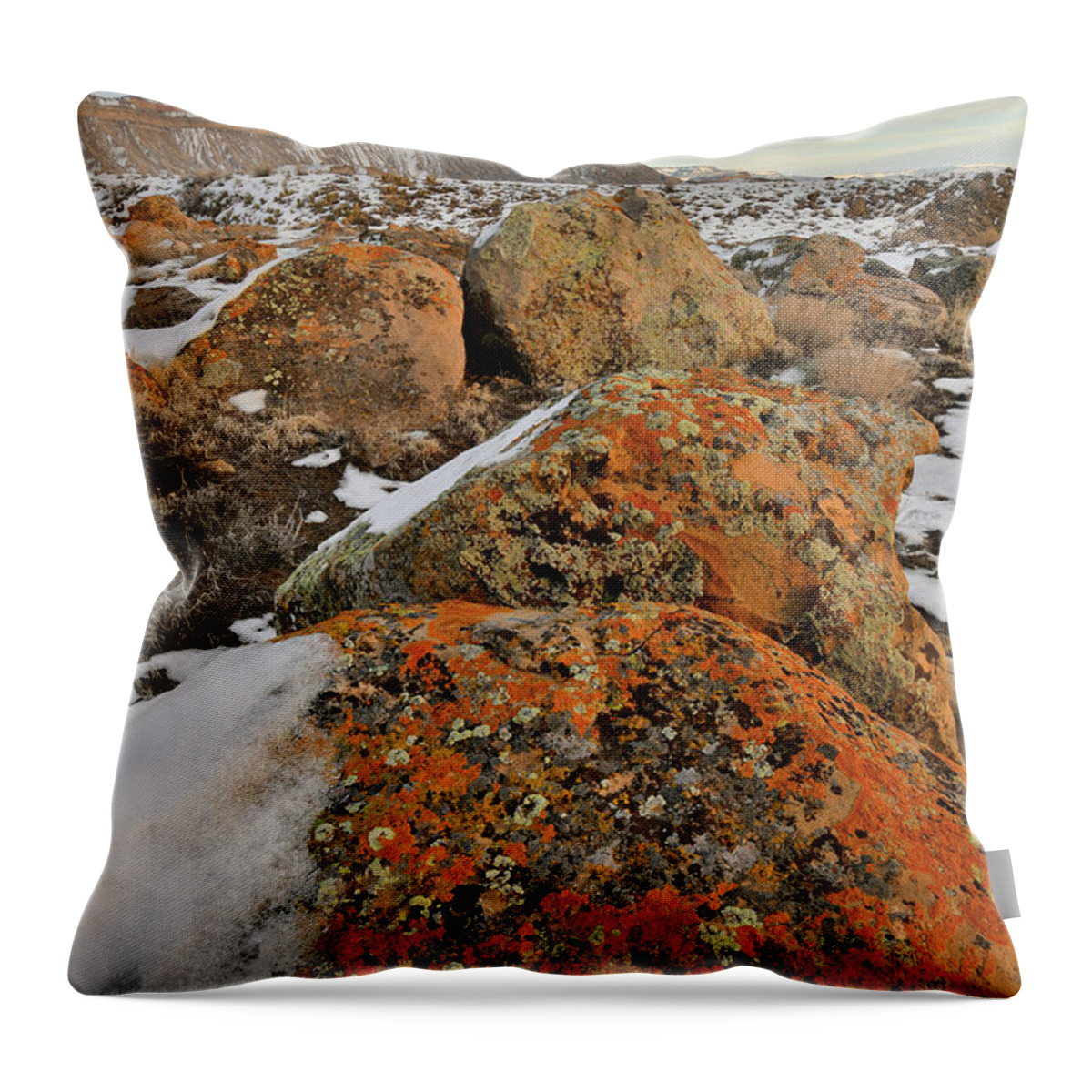 Book Cliffs Throw Pillow featuring the photograph Colorful Boulders of the Book Cliffs #1 by Ray Mathis