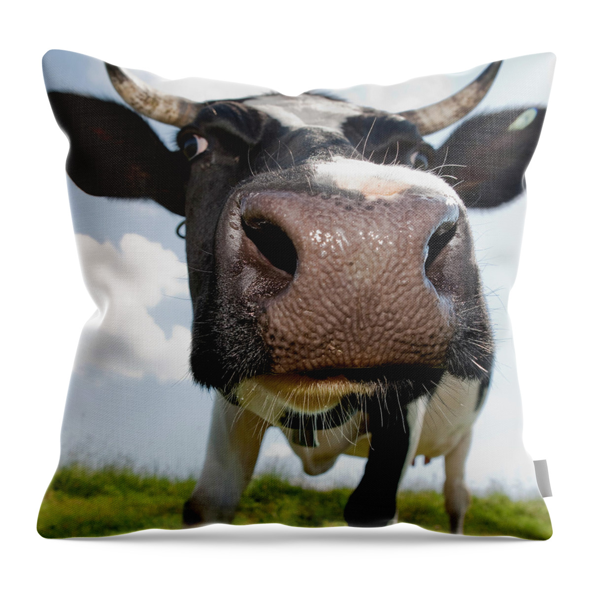 Horned Throw Pillow featuring the photograph Cow #1 by Roine Magnusson