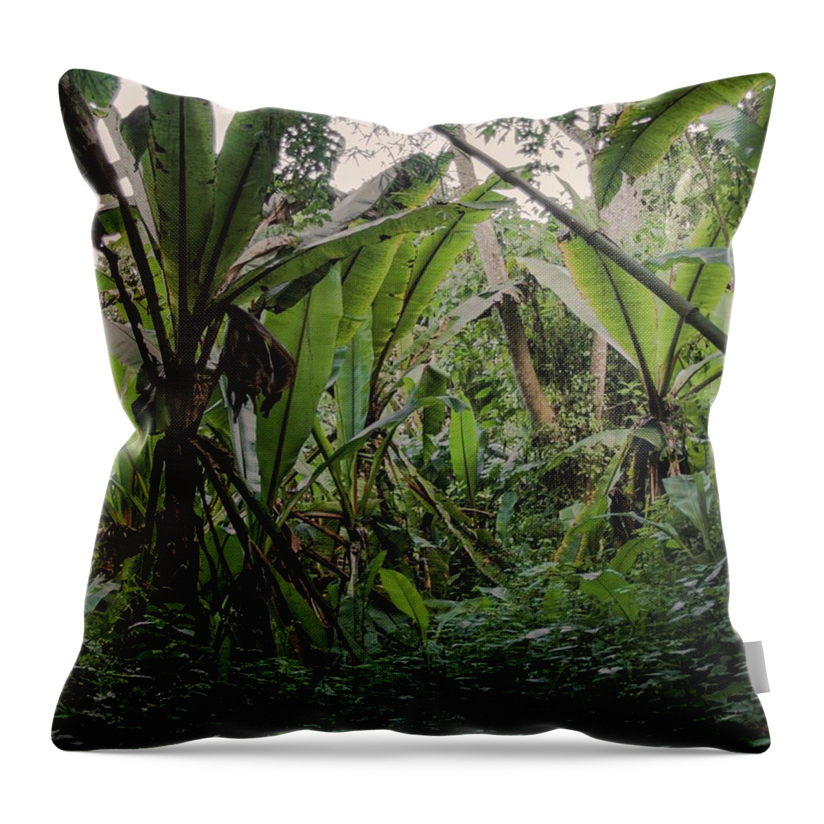 Africa Throw Pillow featuring the photograph Deep jungle #2 by Robert Grac