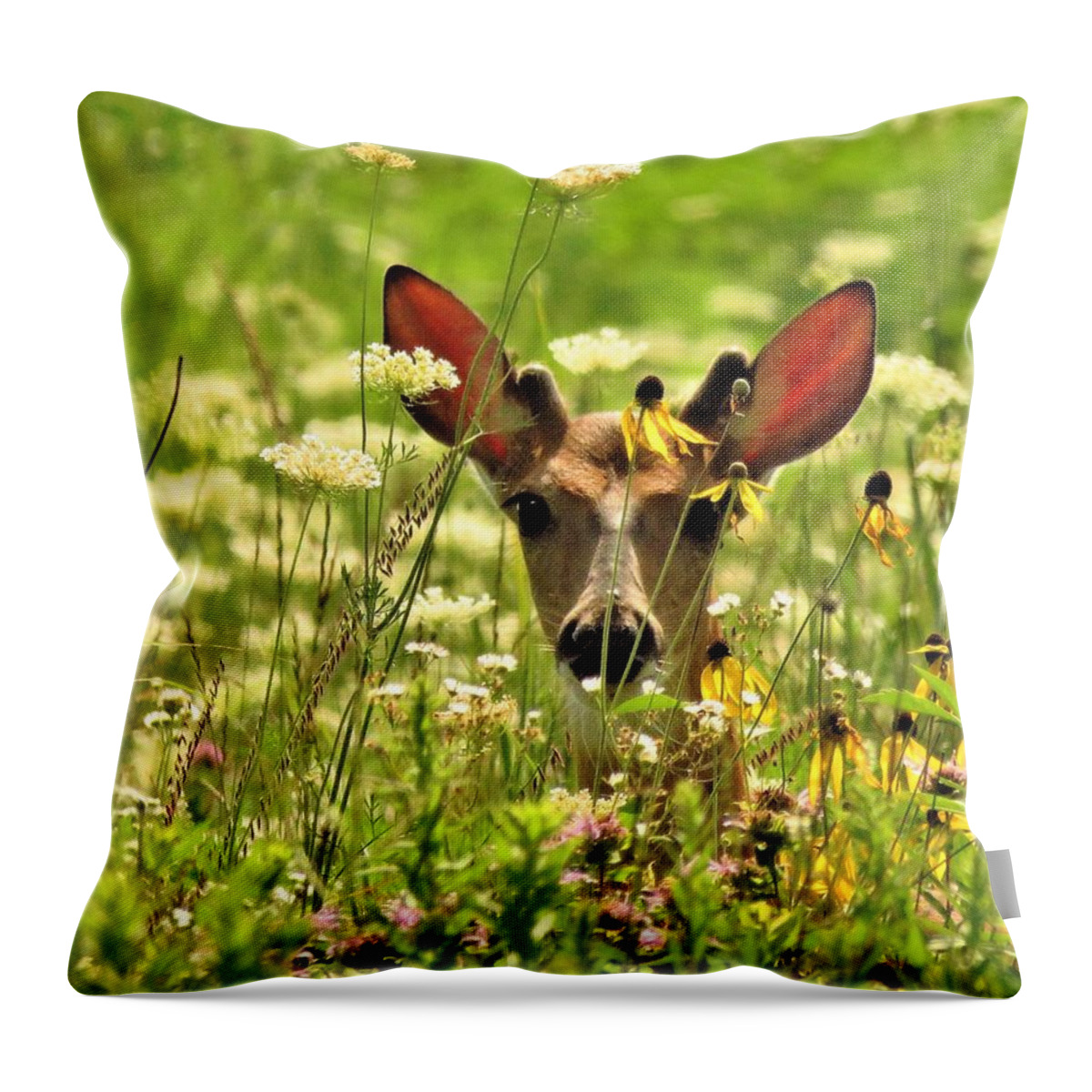 Deer Throw Pillow featuring the photograph Deer on the Prairie #1 by Lori Frisch