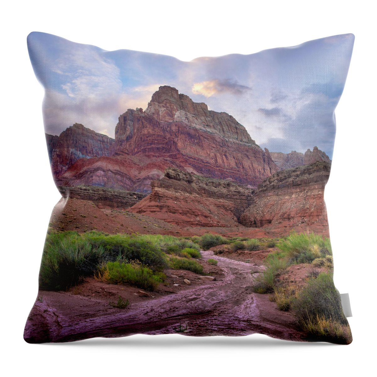 00574850 Throw Pillow featuring the photograph Desert And Cliffs, Vermilion Cliffs by Tim Fitzharris