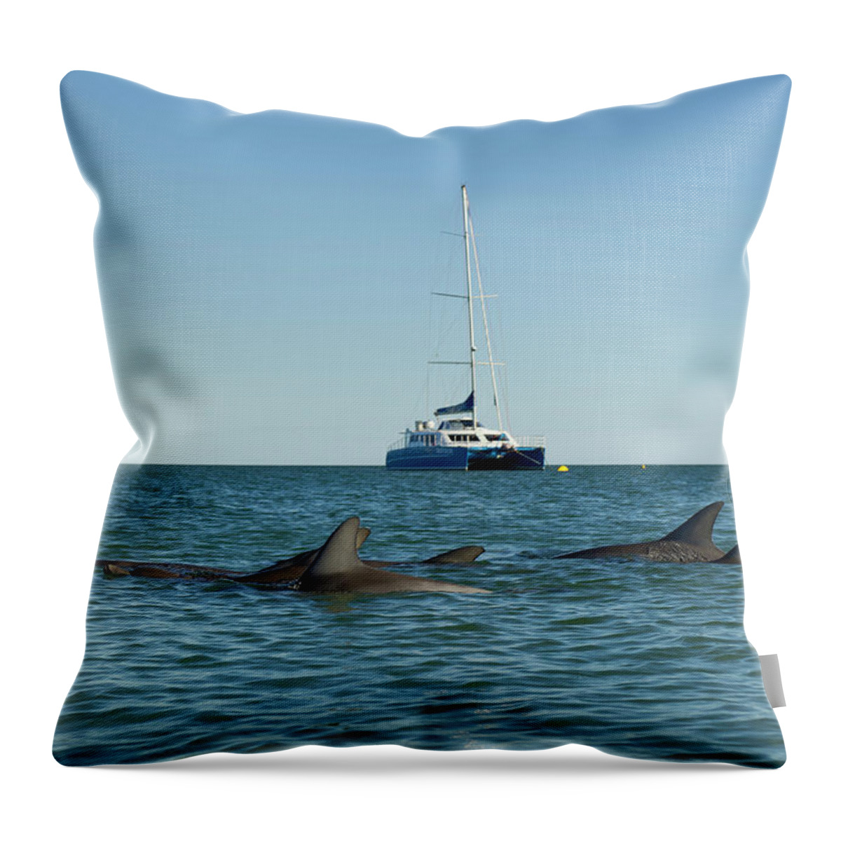 Ip_10275851 Throw Pillow featuring the photograph Dolphins And Yacht In Shark Bay, Monkey Mia, Australia #1 by Lukas Larsson Jalag