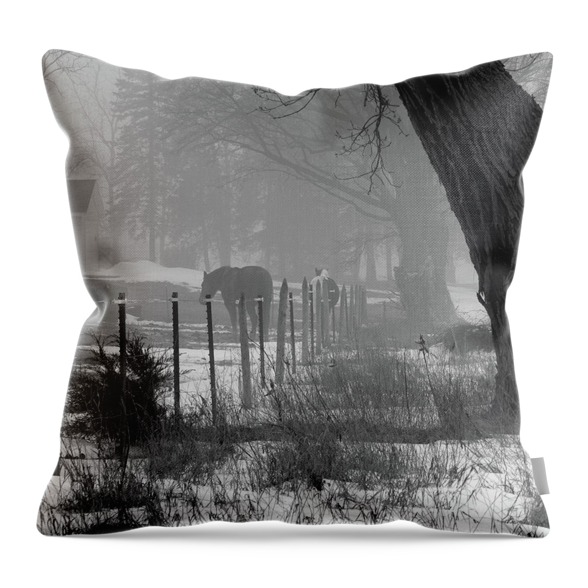 Winter Throw Pillow featuring the photograph Down the Lane #1 by Wild Thing