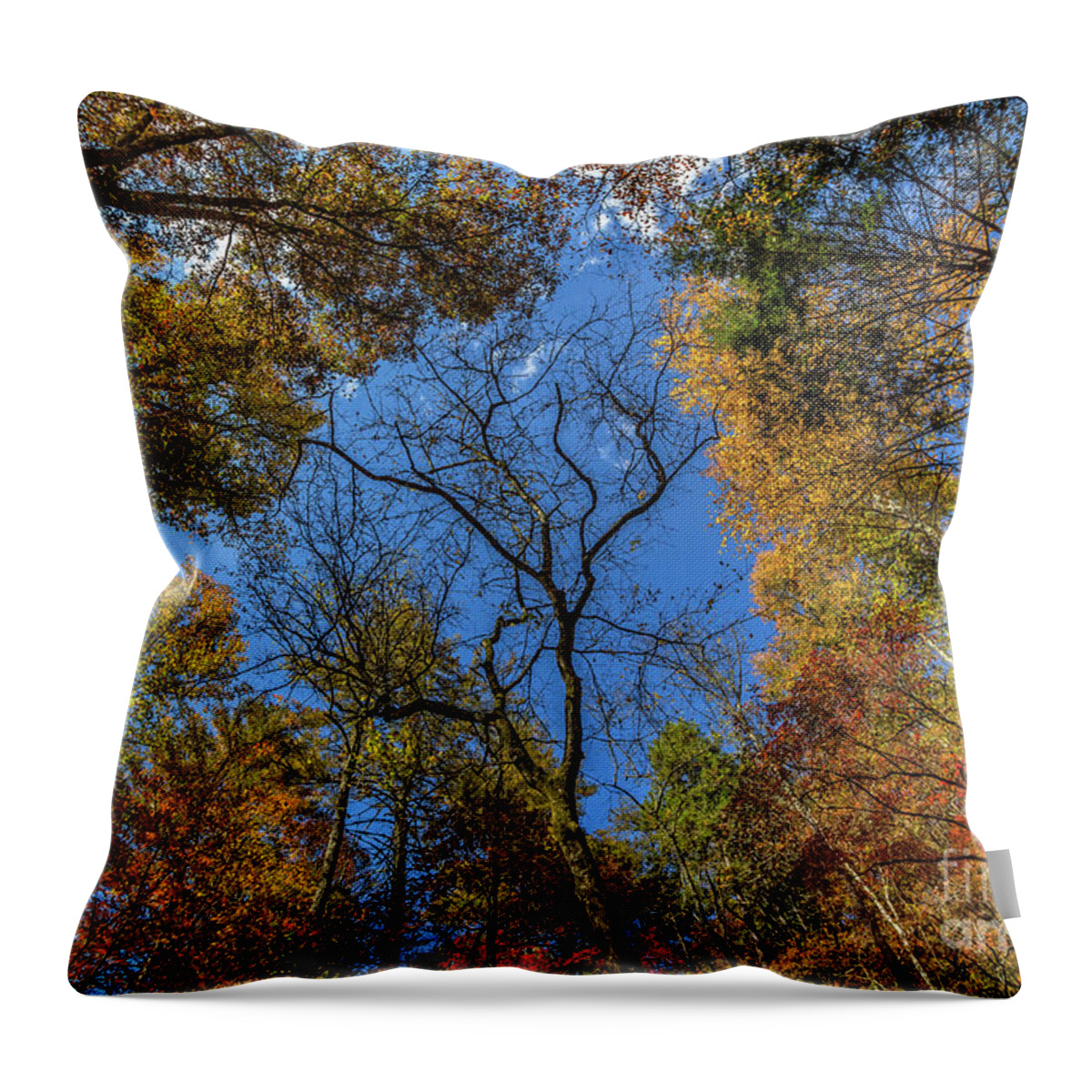 Smithgall-woods Throw Pillow featuring the photograph Dreaming in Smithgall Woods #2 by Bernd Laeschke