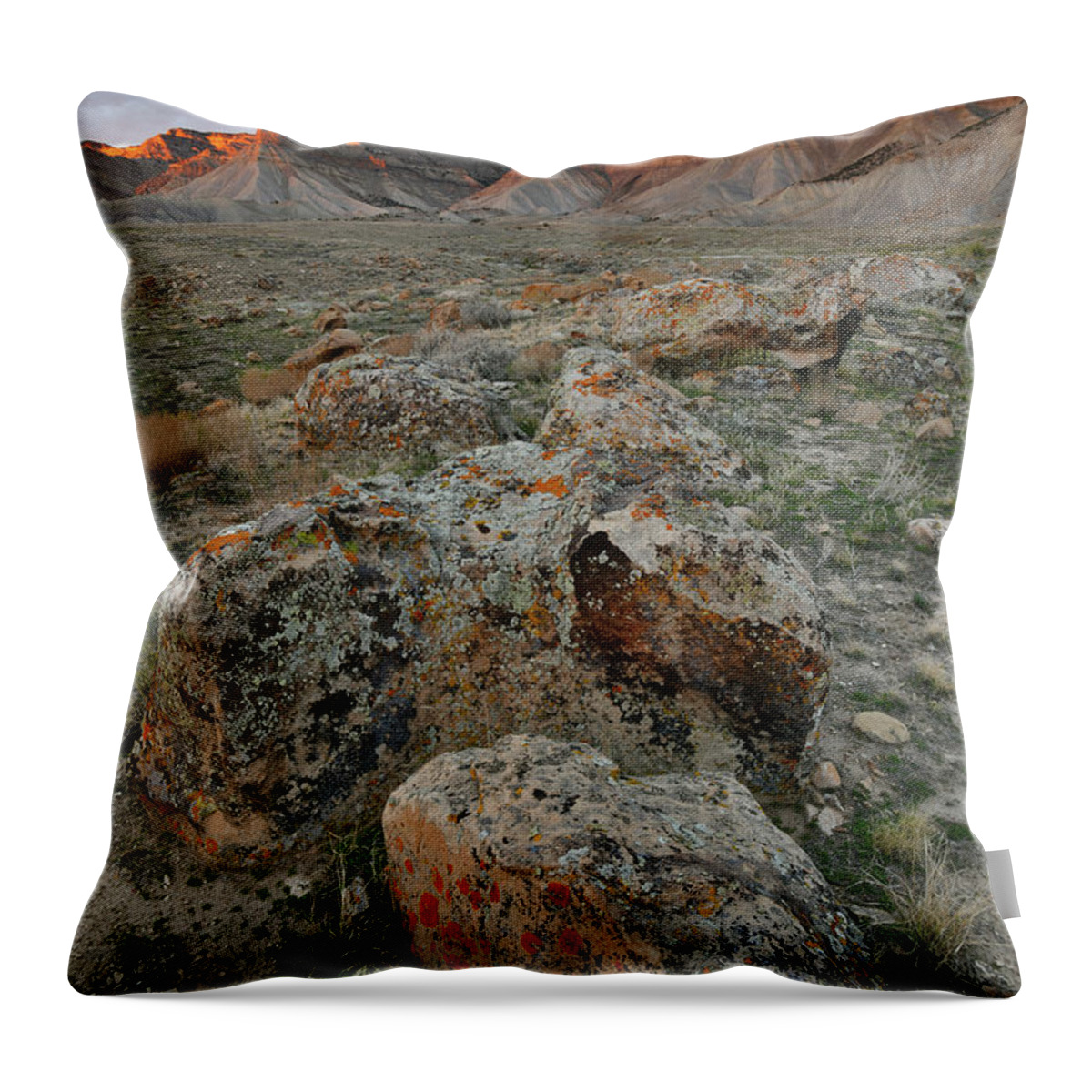 Book Cliffs Throw Pillow featuring the photograph End of the Day at Book Cliffs #1 by Ray Mathis