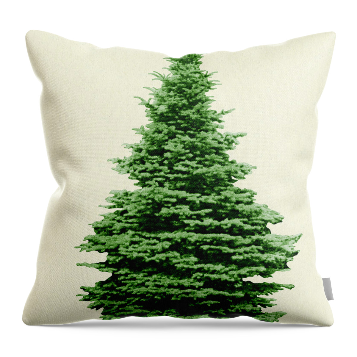 Campy Throw Pillow featuring the drawing Evergreen Tree #1 by CSA Images