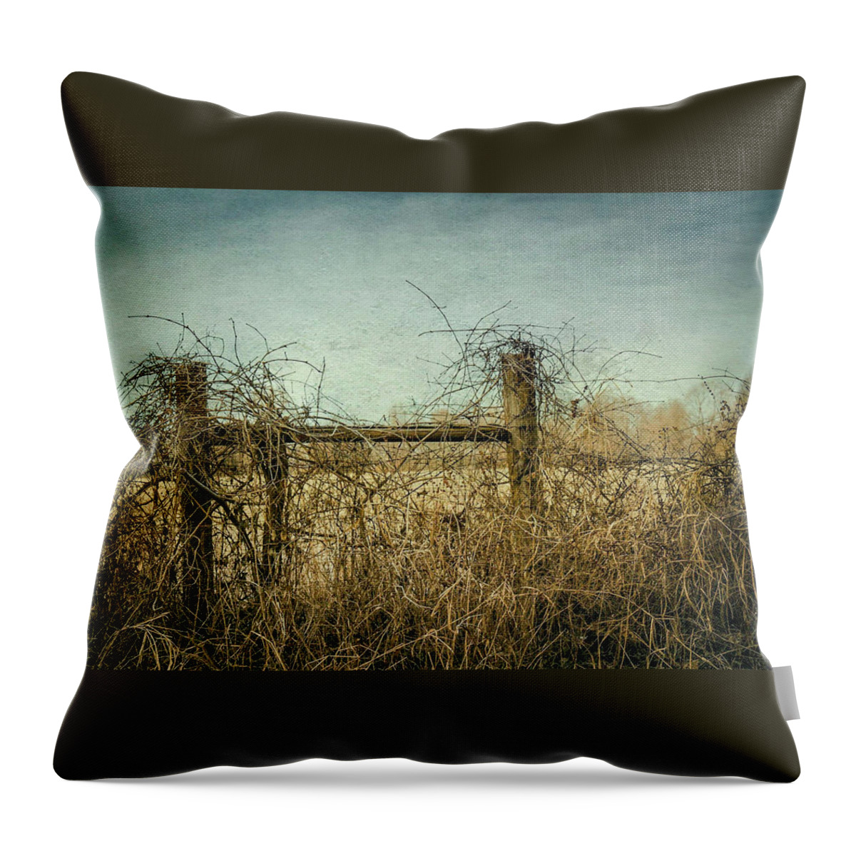 Faded Throw Pillow featuring the photograph Faded Beauty #1 by Allin Sorenson