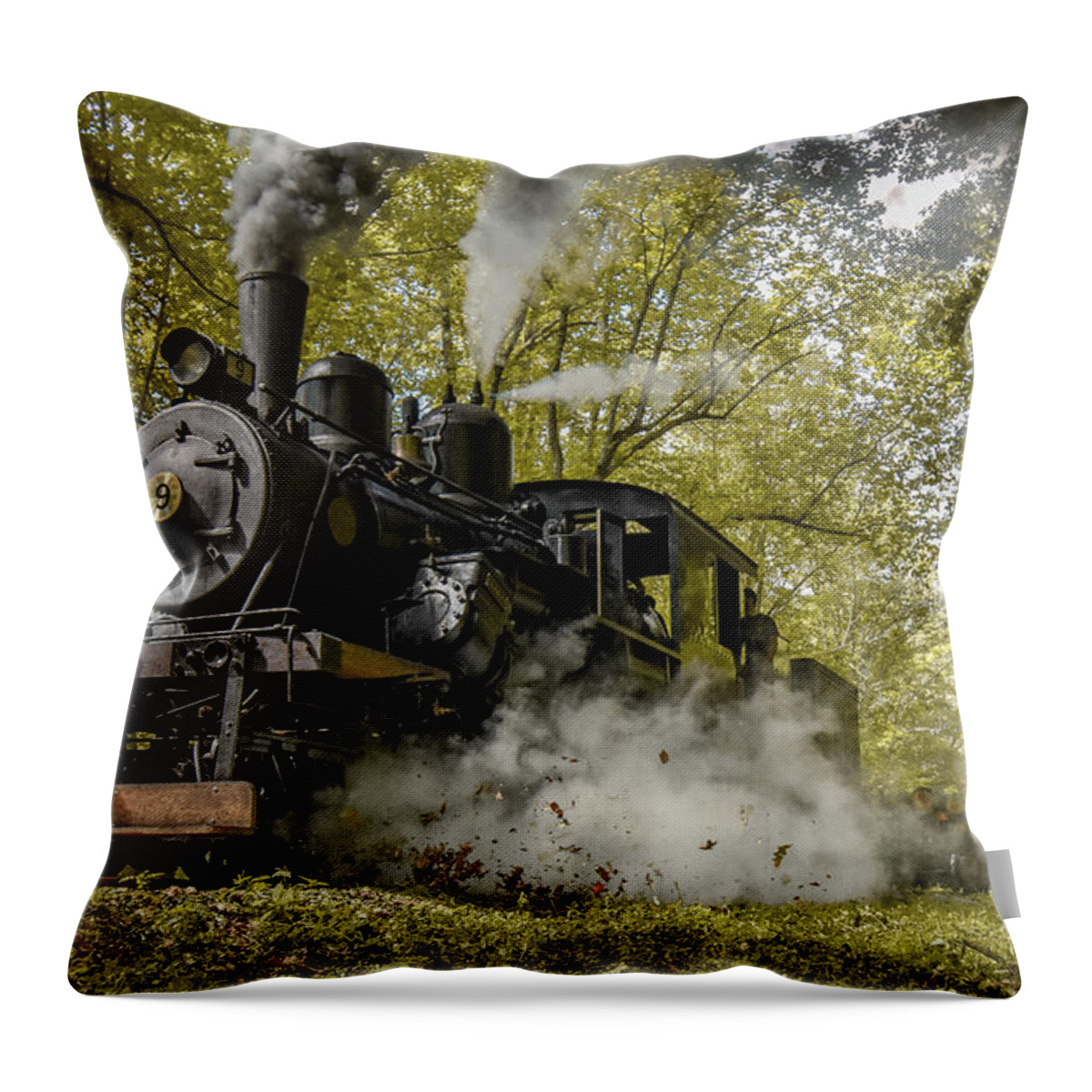 Train Throw Pillow featuring the photograph Fall Train #1 by Michelle Wittensoldner