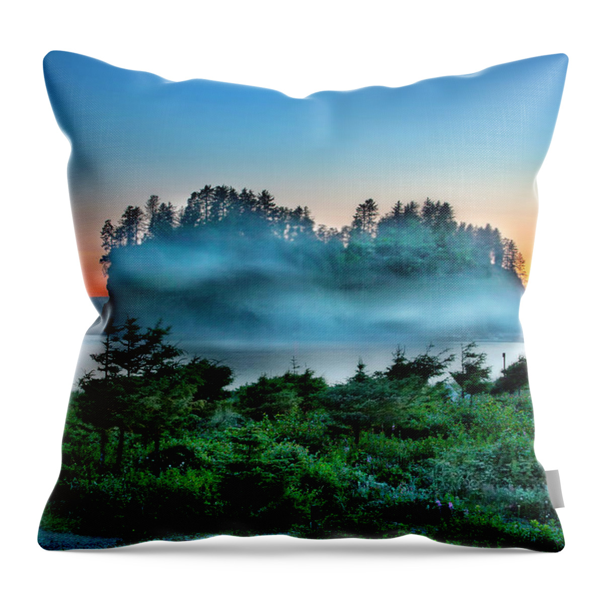 Washington Coastline Throw Pillow featuring the photograph First Beach by David Chasey