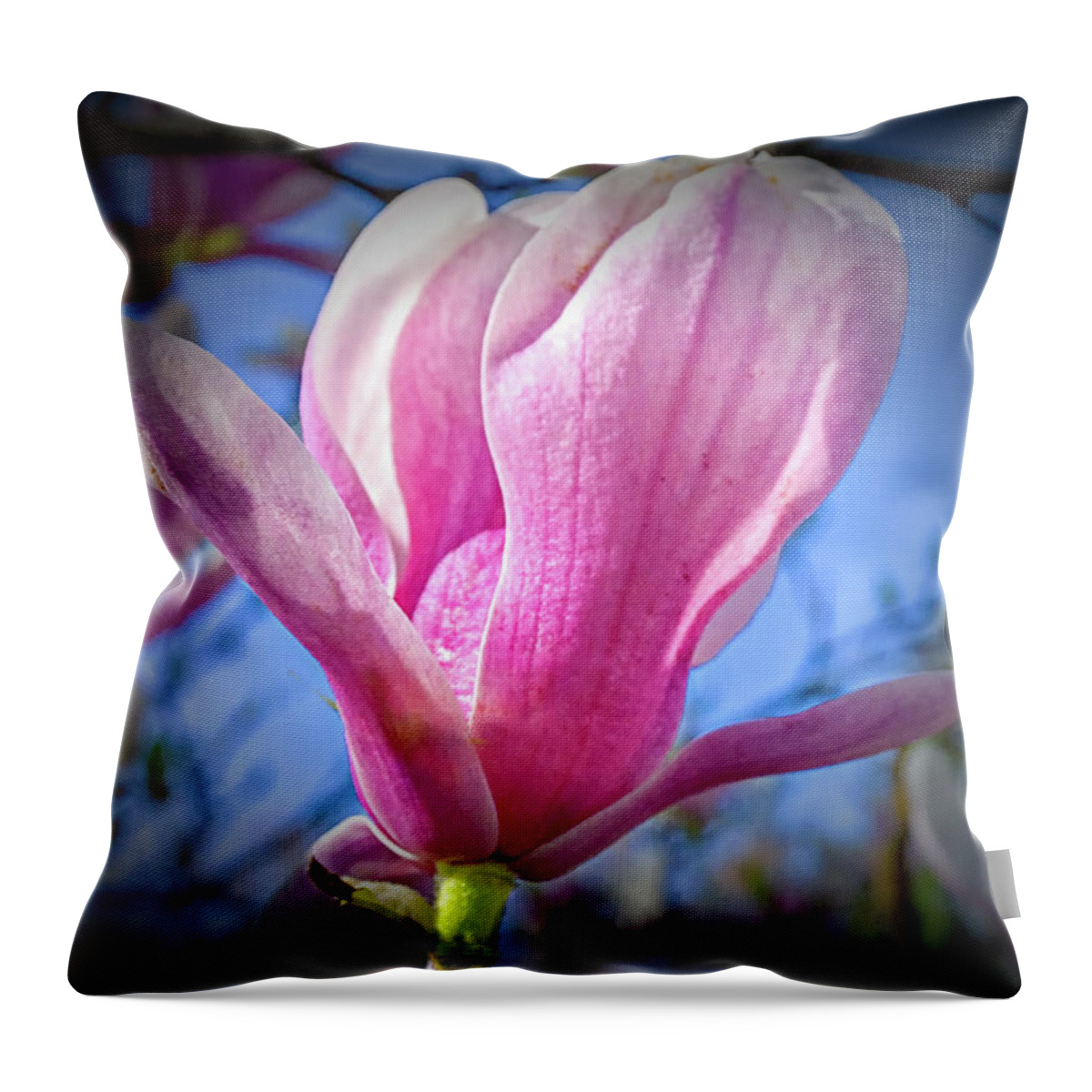 Flower Throw Pillow featuring the photograph Japanese Magnolia by Dennis Dugan