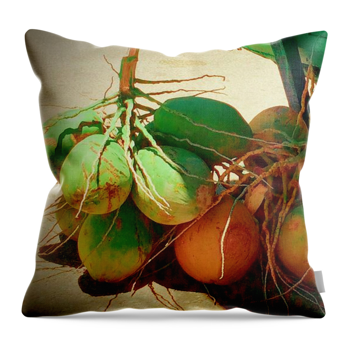 Coconuts In Puerta Maya Throw Pillow featuring the photograph Fresh Coconuts by Debra Grace Addison
