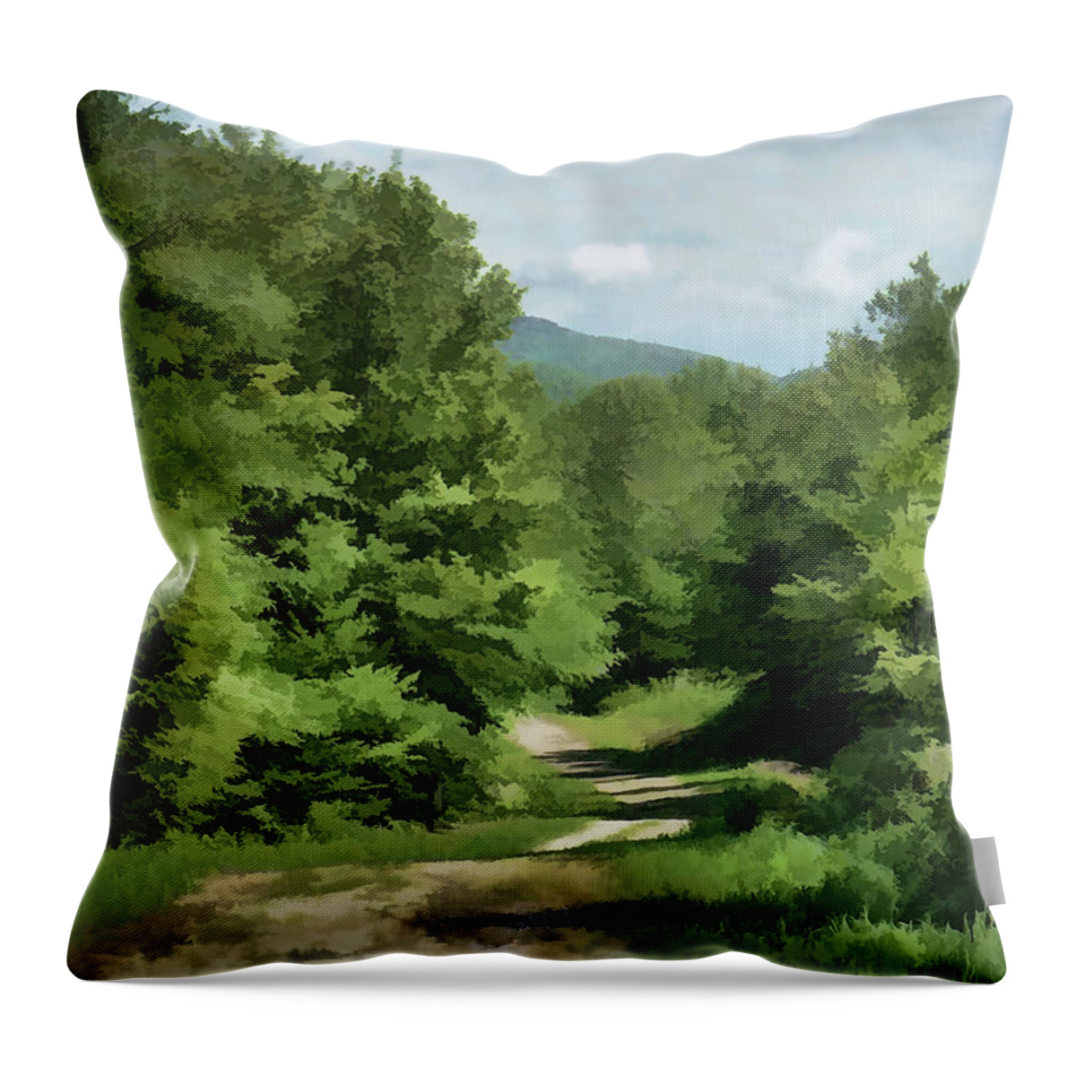 Road Throw Pillow featuring the photograph Going Down the Road #2 by Xine Segalas