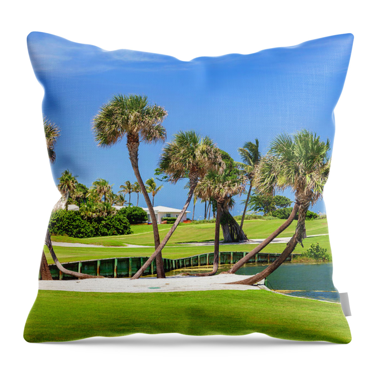 Estock Throw Pillow featuring the digital art Golf Course #1 by Lumiere