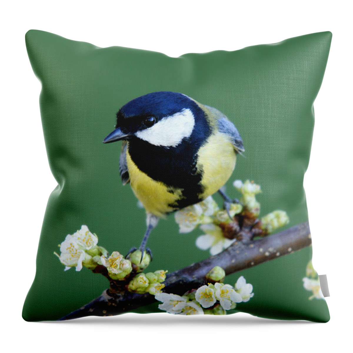 Songbird Throw Pillow featuring the photograph Great Tit On A Blossoming Twig #1 by Schnuddel