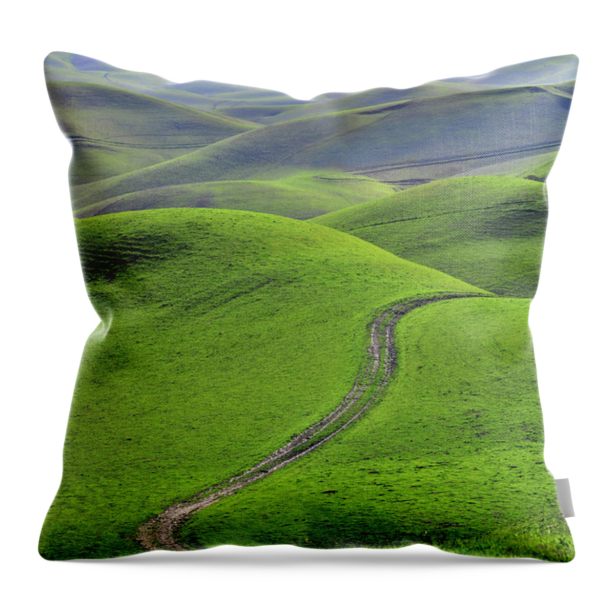 Scenics Throw Pillow featuring the photograph Green Hills With Road #1 by Mitch Diamond