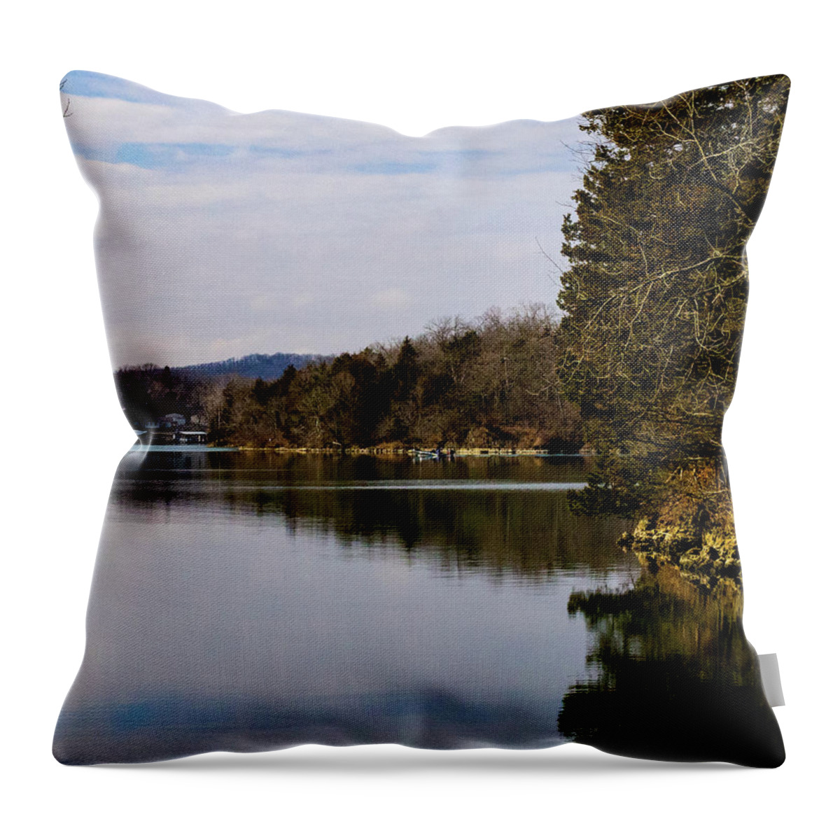 Lake Of The Ozarks Throw Pillow featuring the photograph Ha Ha Tonka Cove in Winter #1 by Al Griffin