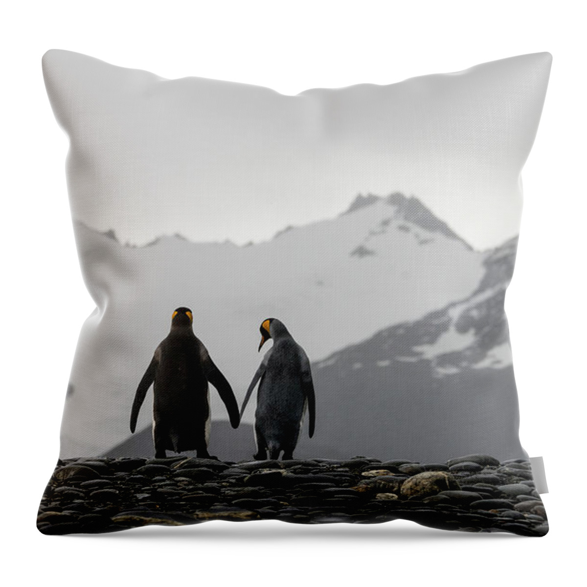 Penguin Throw Pillow featuring the photograph Hand in Hand #1 by Alex Lapidus