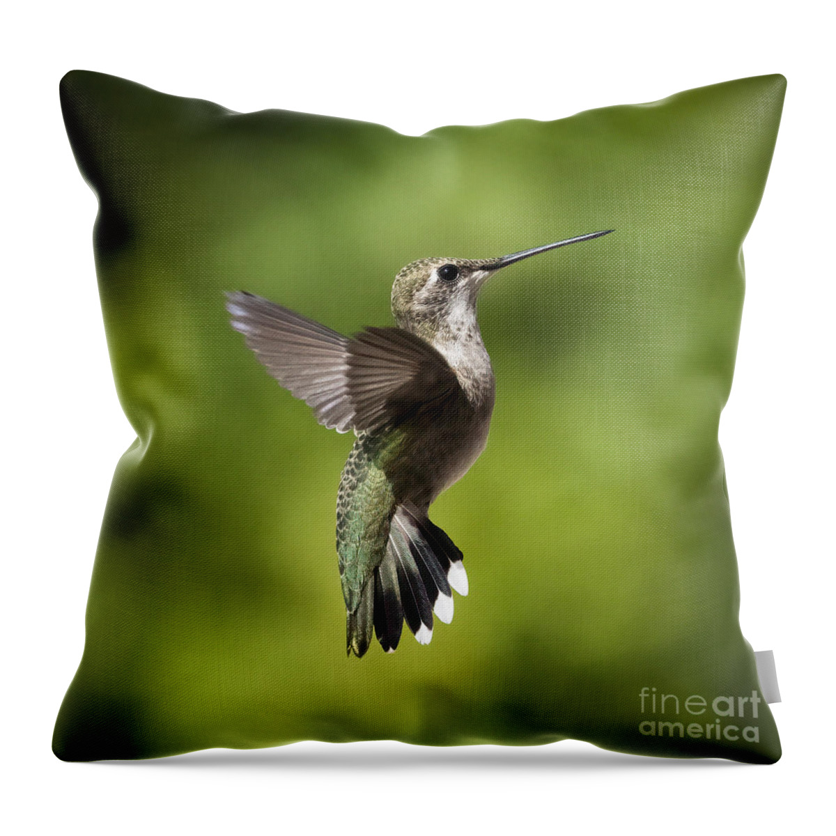 Hummingbird Throw Pillow featuring the photograph Hummingbird Flight #2 by Lisa Manifold
