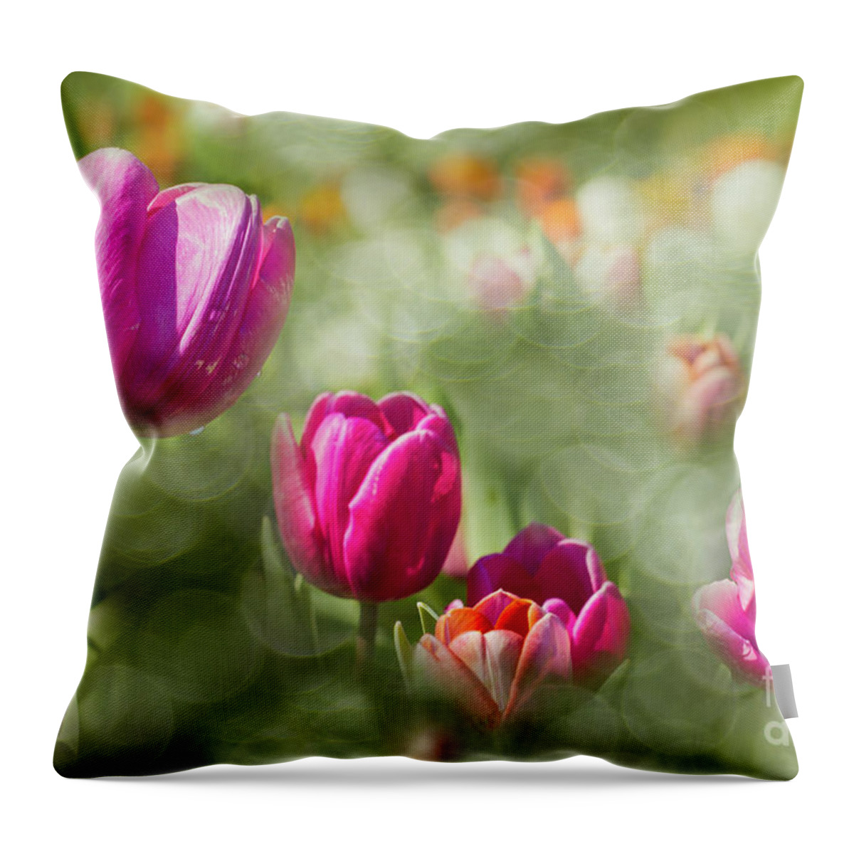 Tulips Throw Pillow featuring the photograph I Choose Spring #1 by Marilyn Cornwell