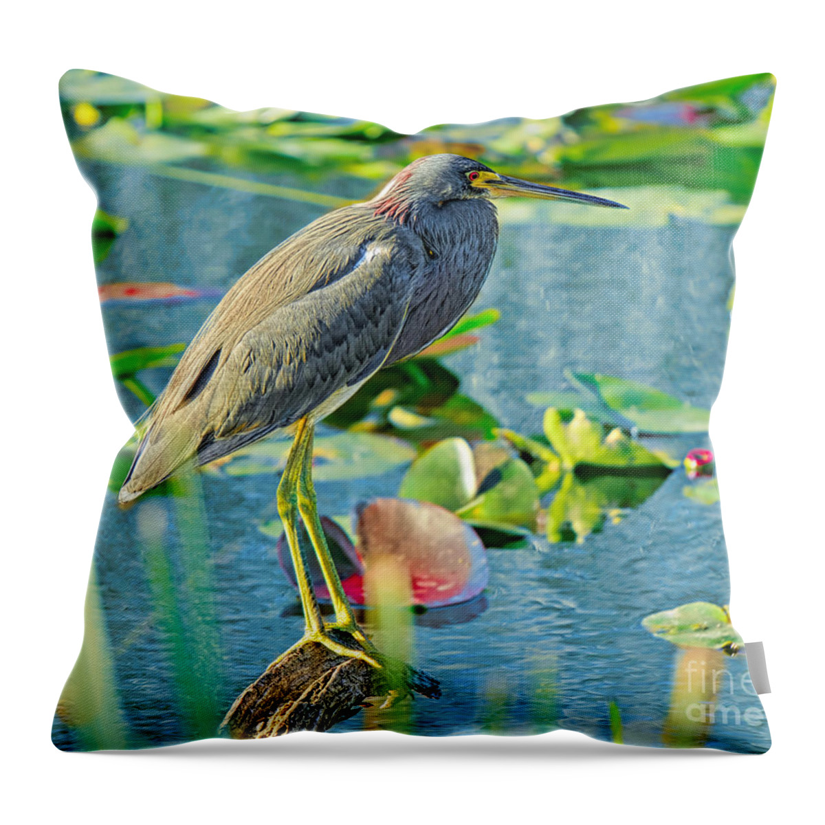 Birds Throw Pillow featuring the photograph In Balance #2 by Judy Kay
