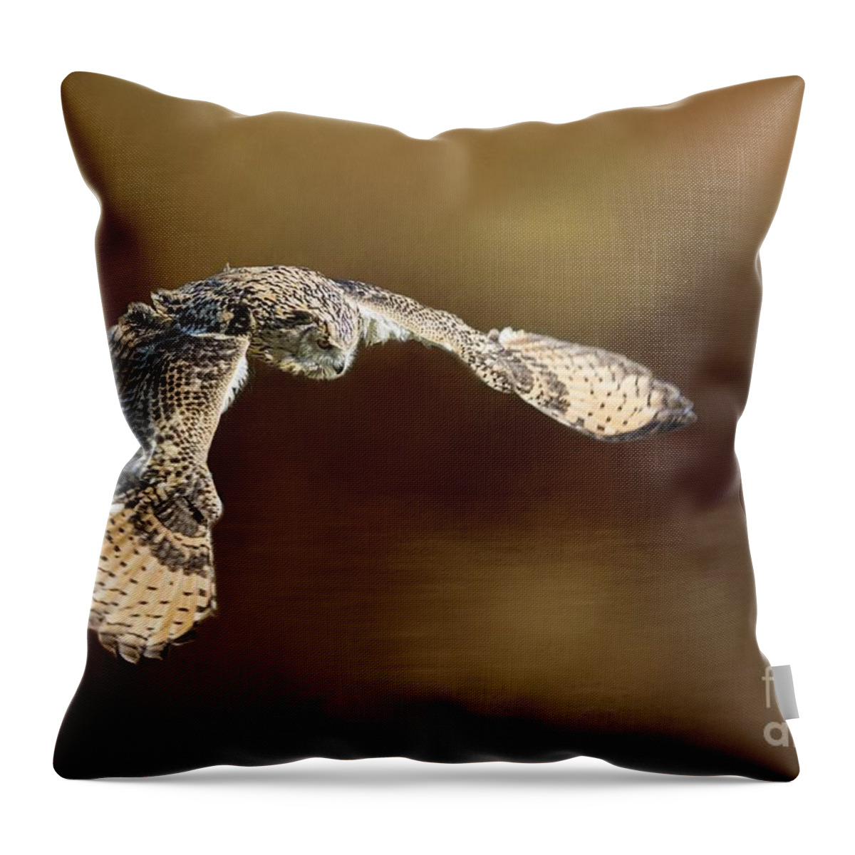 Bubo Bubo Sibiricus Throw Pillow featuring the photograph In Flight #1 by Eva Lechner