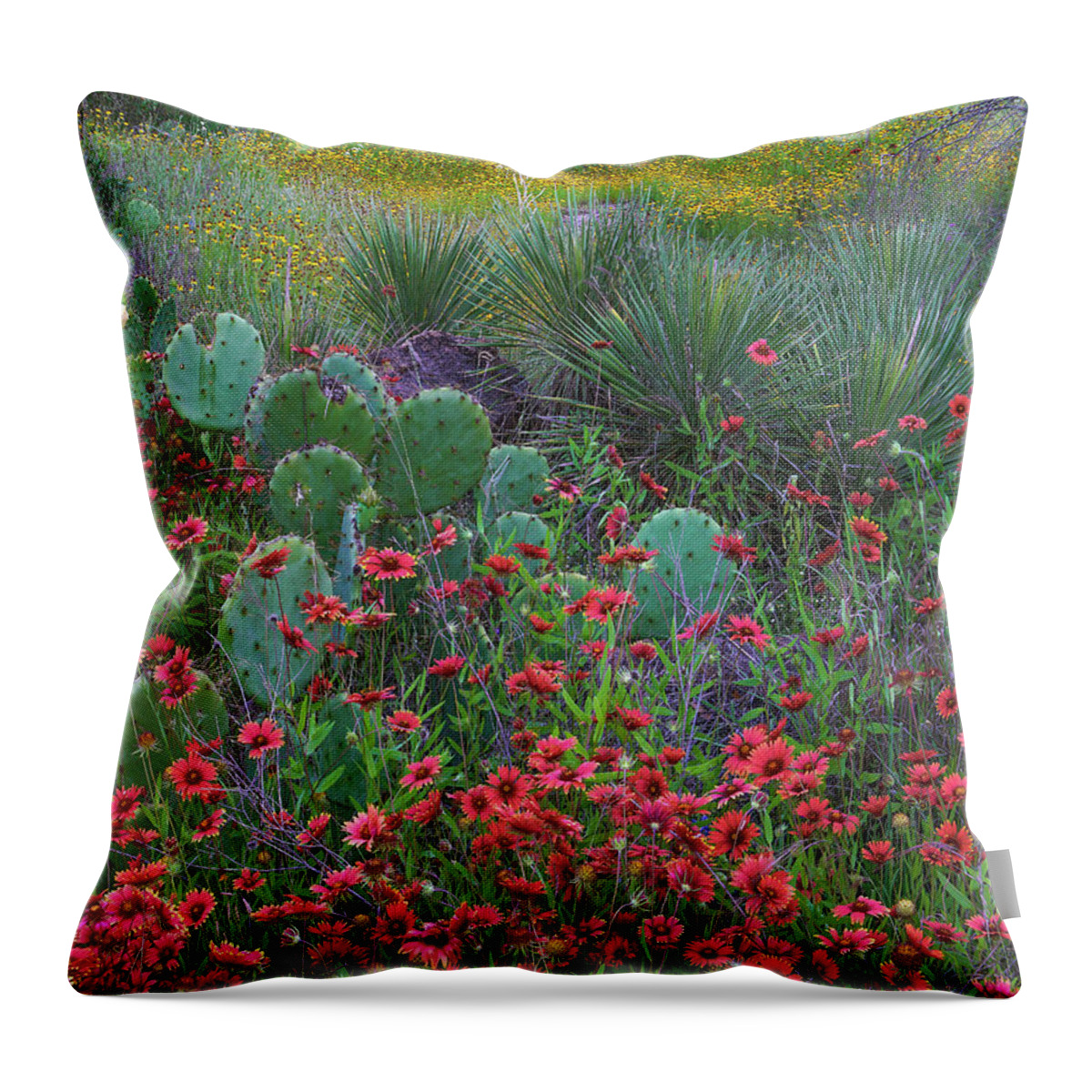 00567595 Throw Pillow featuring the photograph Indian Blanket Flowers And Opuntia, Inks Lake State Park, Texas #1 by Tim Fitzharris