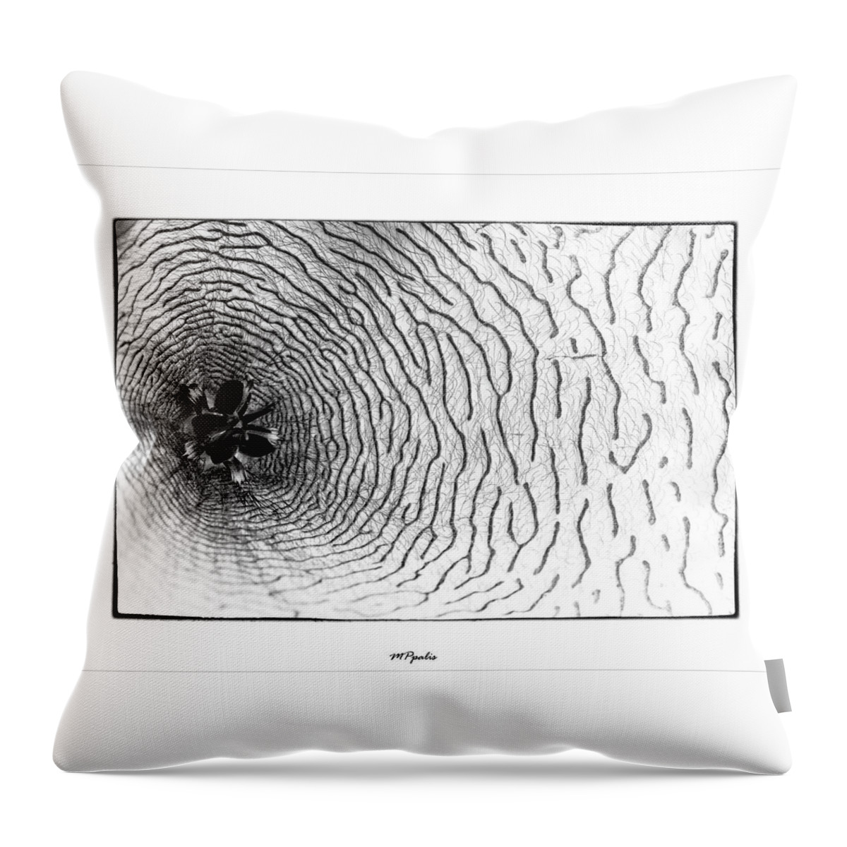 Flower Throw Pillow featuring the photograph Inner flower abstract details #1 by Michalakis Ppalis