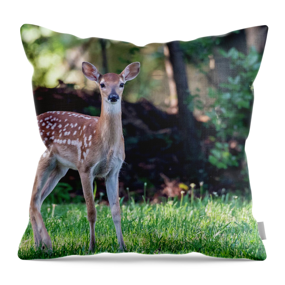 Deer Throw Pillow featuring the photograph Innocent Eyes of a Young Fawn by Marcy Wielfaert
