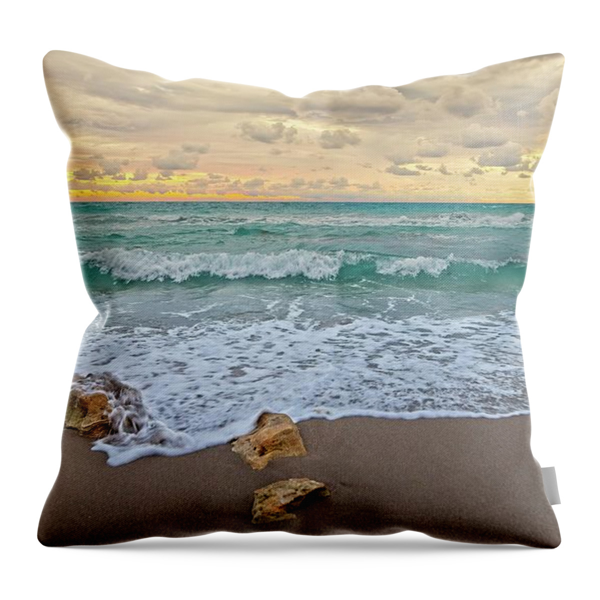 Sea Throw Pillow featuring the photograph Jupiter Beach #1 by Steve DaPonte