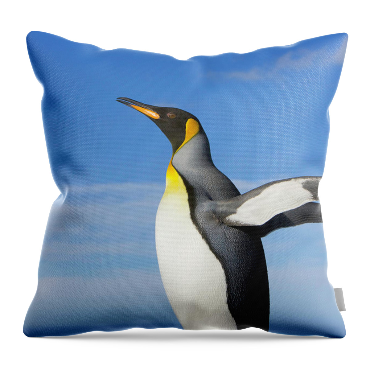 One Animal Throw Pillow featuring the photograph King Penguin Aptenodytes Patagonicus #1 by Eastcott Momatiuk