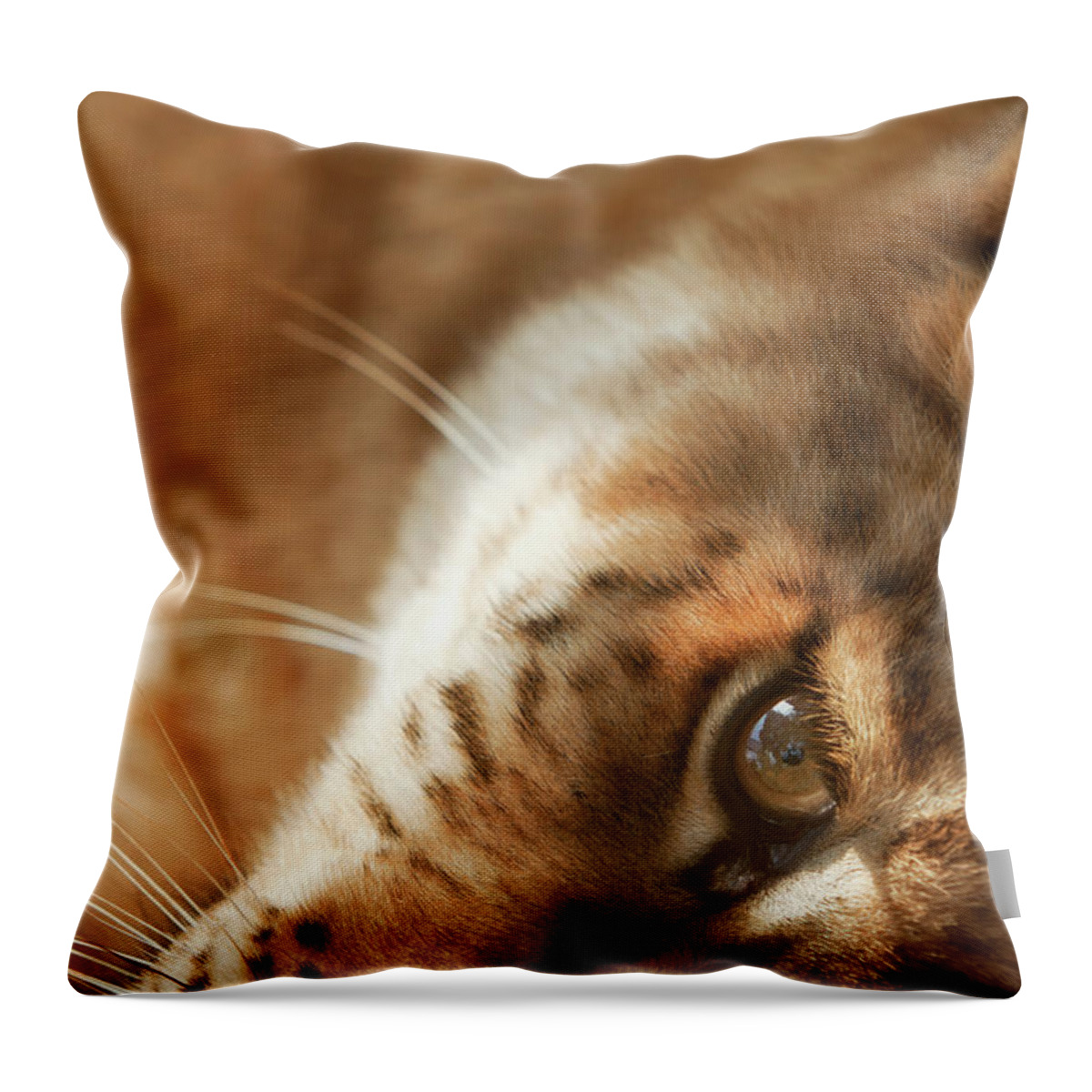 Big Cat Throw Pillow featuring the photograph Liger #1 by Tunart