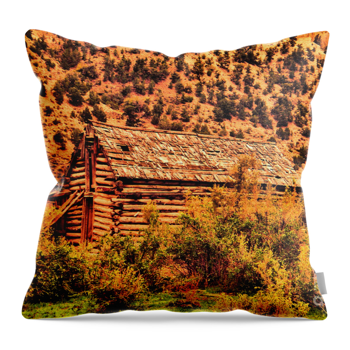 Barn Throw Pillow featuring the photograph Log barn #1 by Jeff Swan
