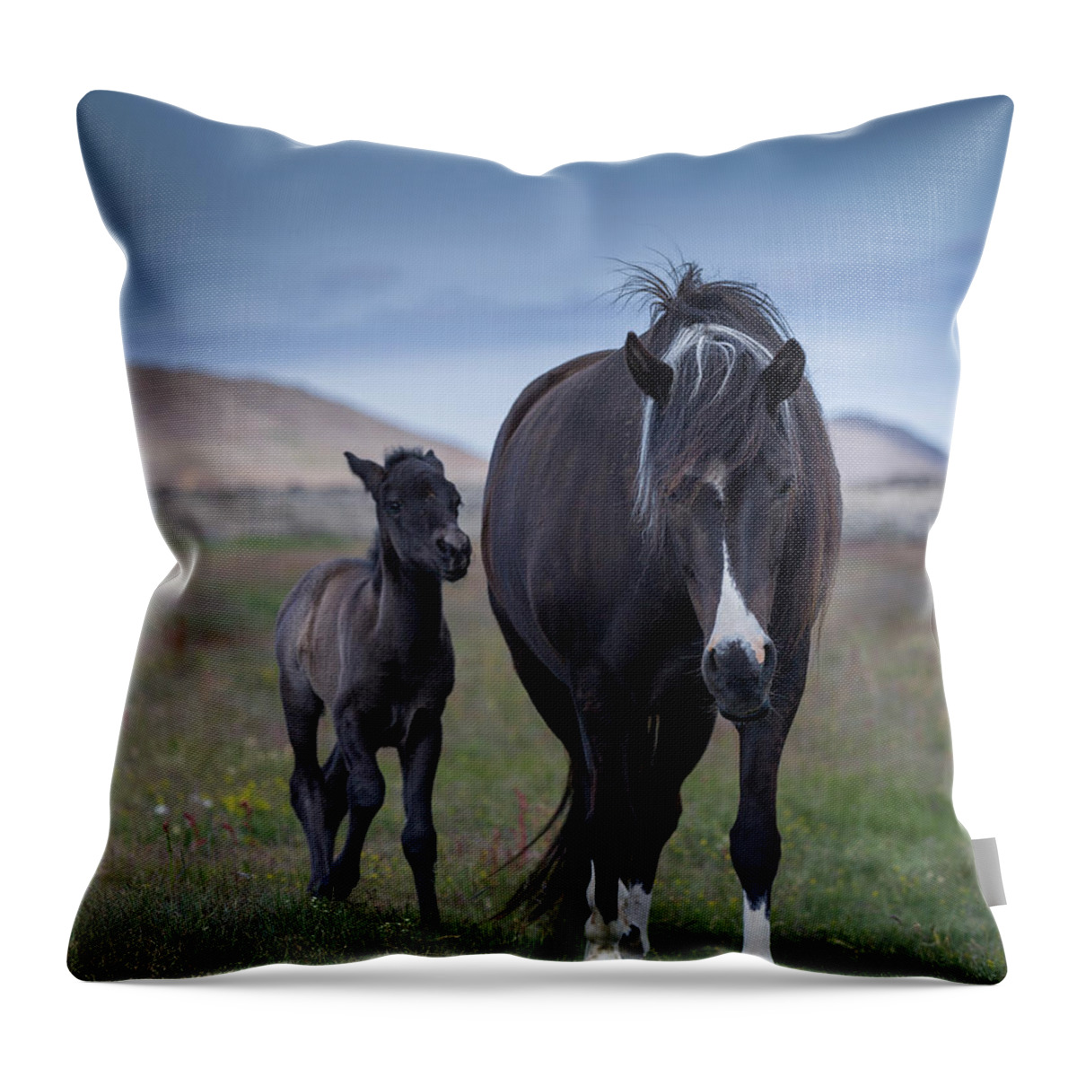 Horse Throw Pillow featuring the photograph Mare And Foal #1 by Arctic-images