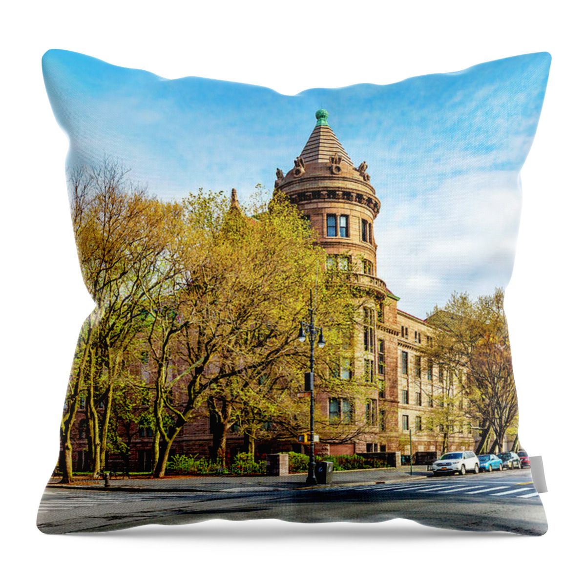Estock Throw Pillow featuring the digital art Museum Of Natural History Nyc #1 by Lumiere