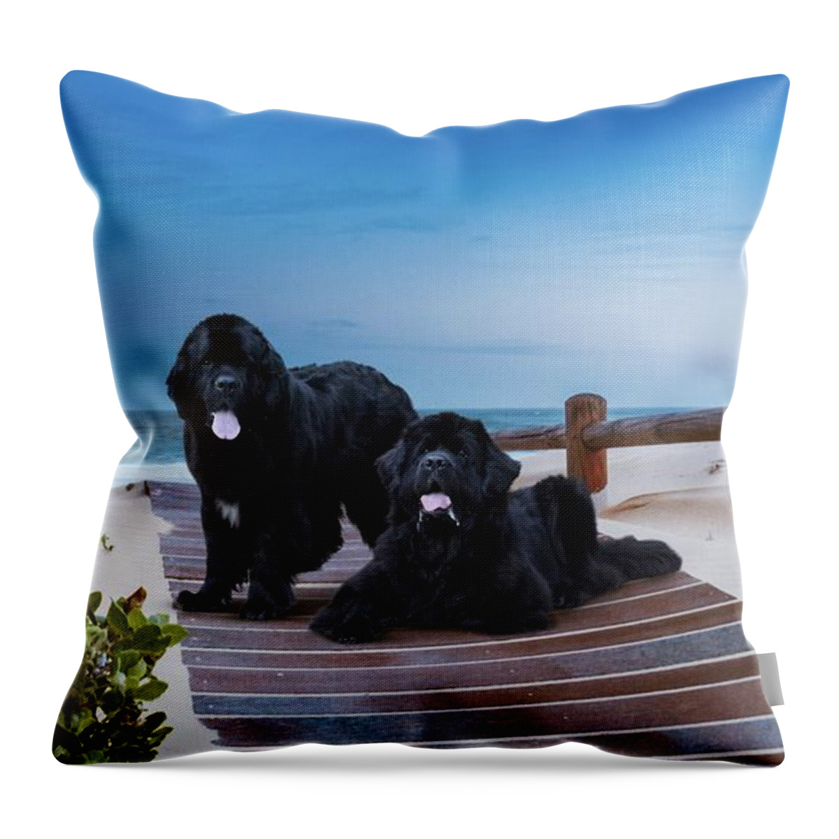 Newfies Throw Pillow featuring the painting Newfies, Magnificent Water Dogs #1 by Philip And Robbie Bracco