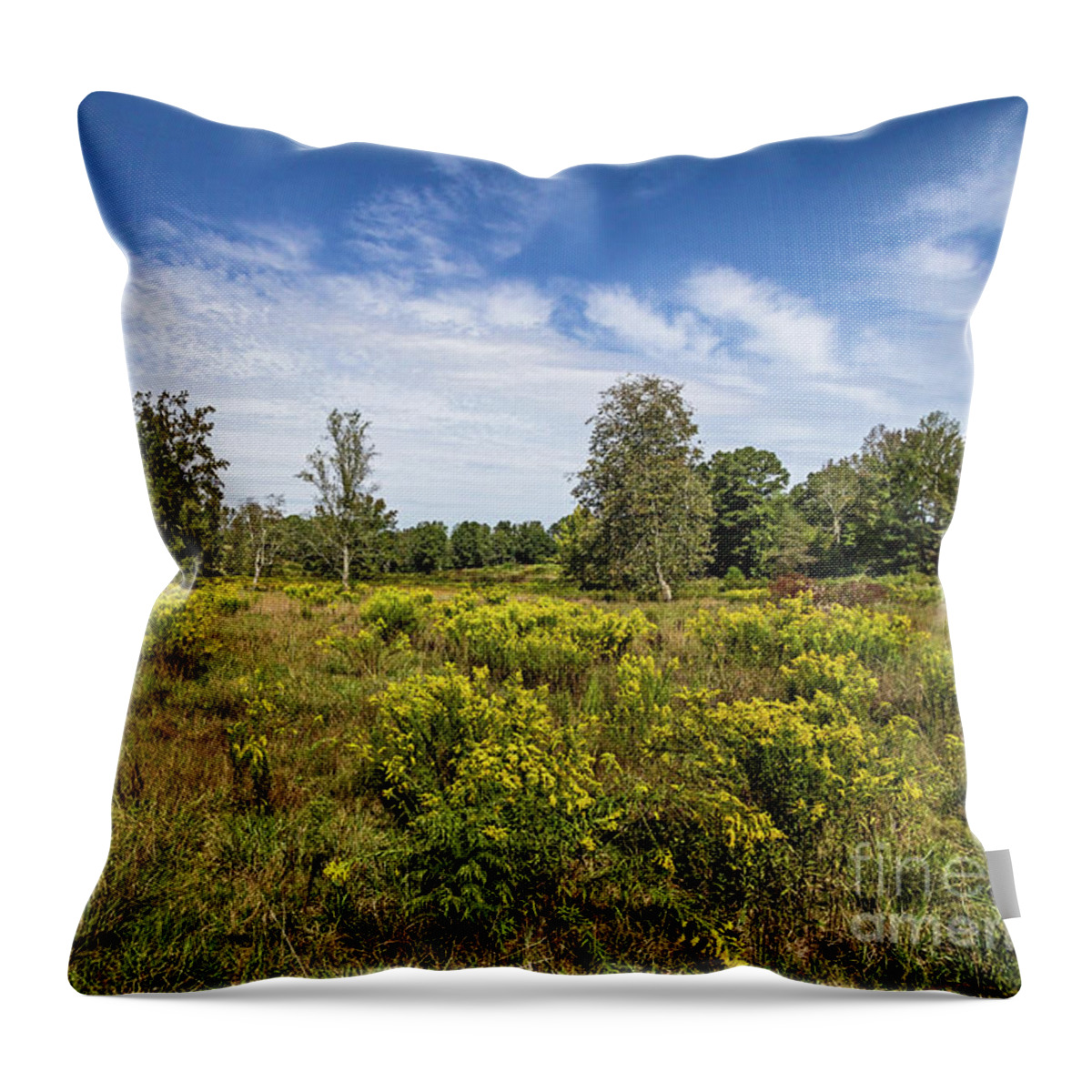 Northern-georgia Throw Pillow featuring the photograph Nothern Georgia by Bernd Laeschke
