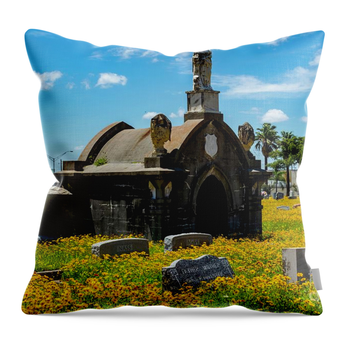 Old Throw Pillow featuring the photograph Old City Cemetery by Diana Mary Sharpton
