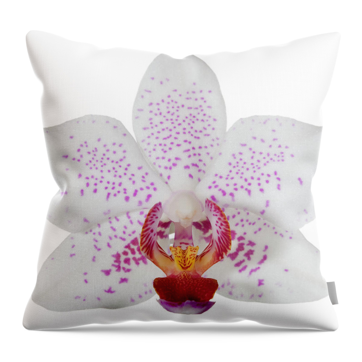White Background Throw Pillow featuring the photograph Orchid #1 by Ayimages
