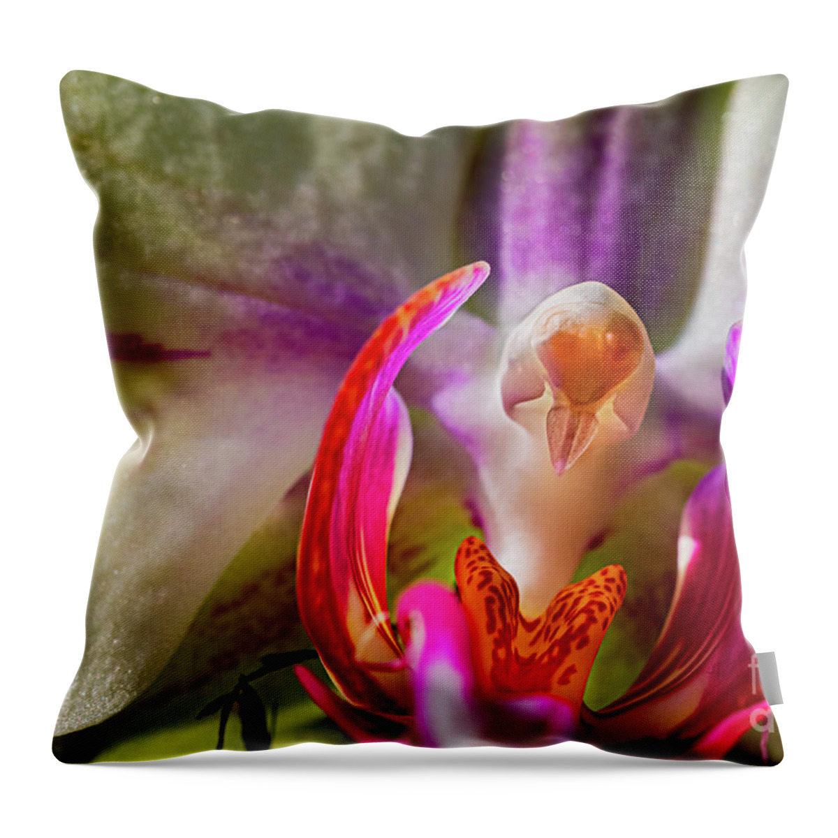 Orchids In Spring Throw Pillow featuring the painting Orchids In Spring, Close Up On Blurred Background by European School