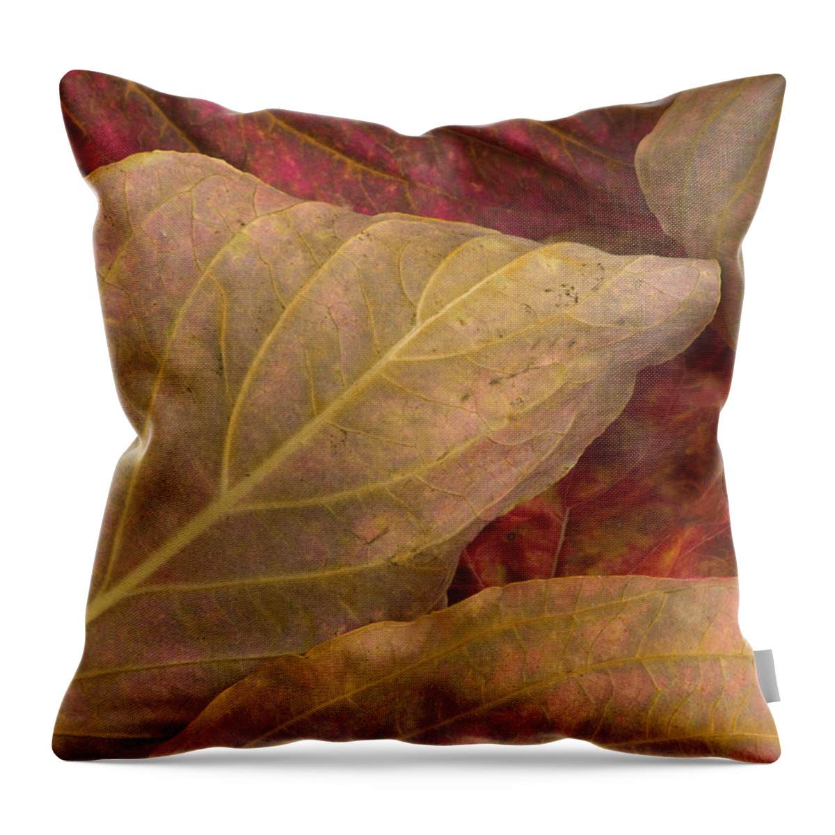 Natural Pattern Throw Pillow featuring the photograph Pacific Dogwood Leaves, Yosemite Np #1 by Eastcott Momatiuk