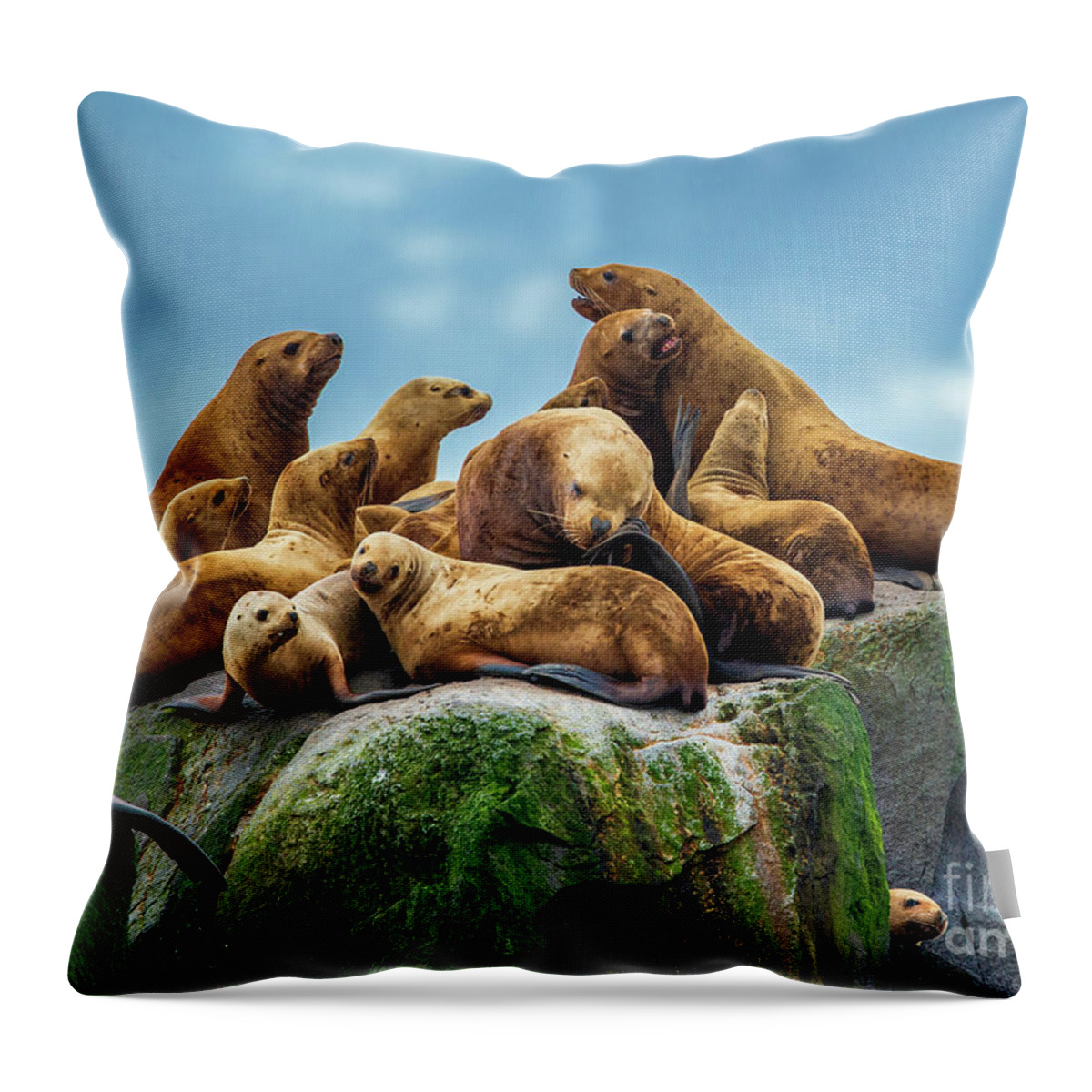 Seals Throw Pillow featuring the photograph Peek a Boo #1 by Judy Rogero