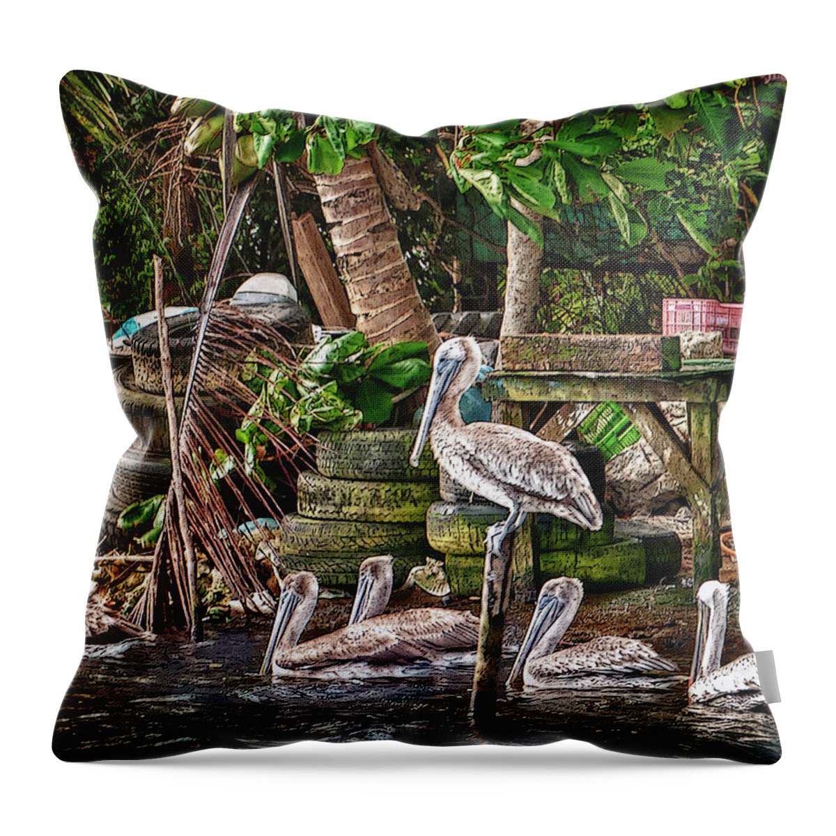 Belize Throw Pillow featuring the photograph Pelicans #1 by Jessica Levant